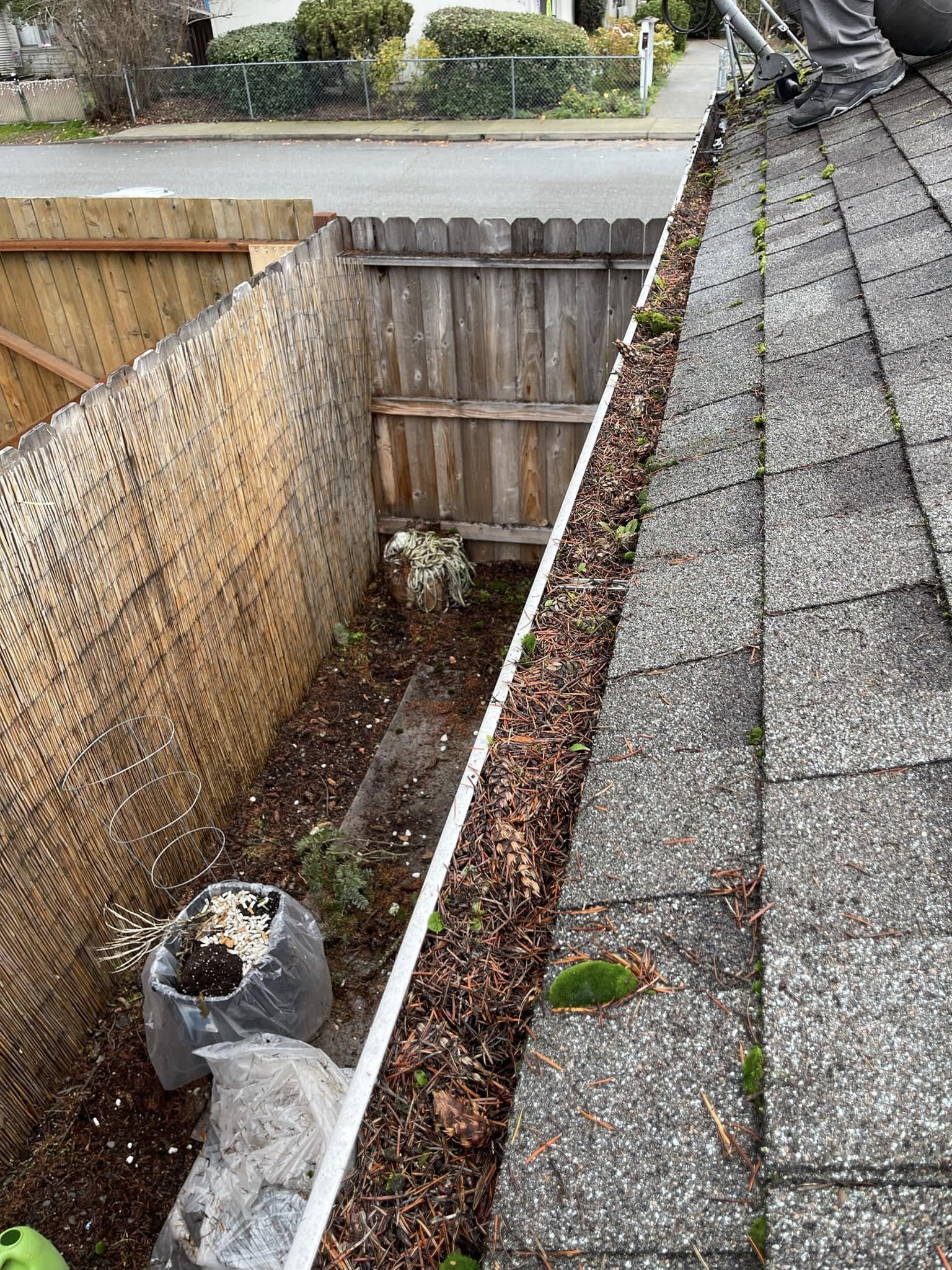 480615139_1138317451322228_2257083675591533845_n