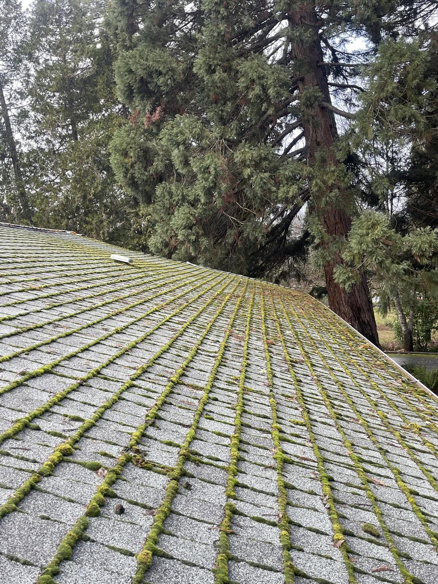 480831541_1134790188341621_2166225016814823861_n