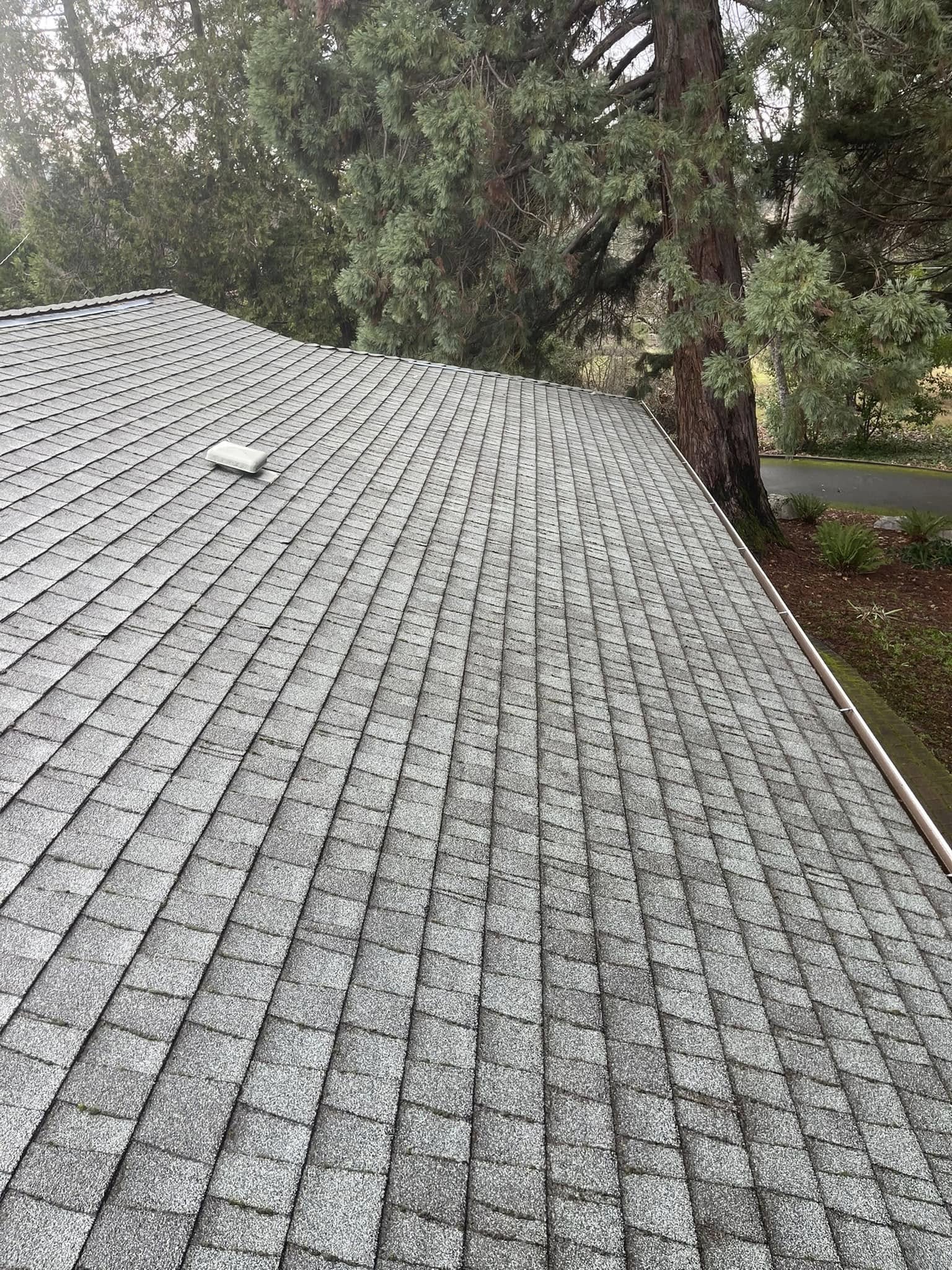 480878401_1134789768341663_1023065429512863628_n