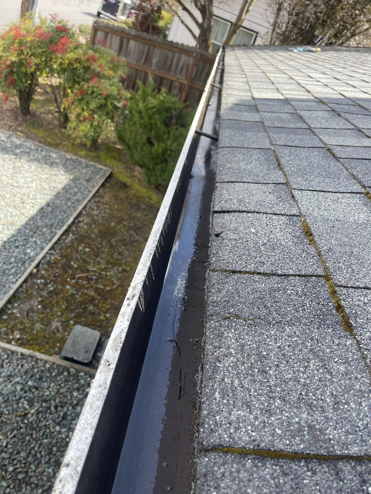 481332916_1138333417987298_7341012163536285232_n