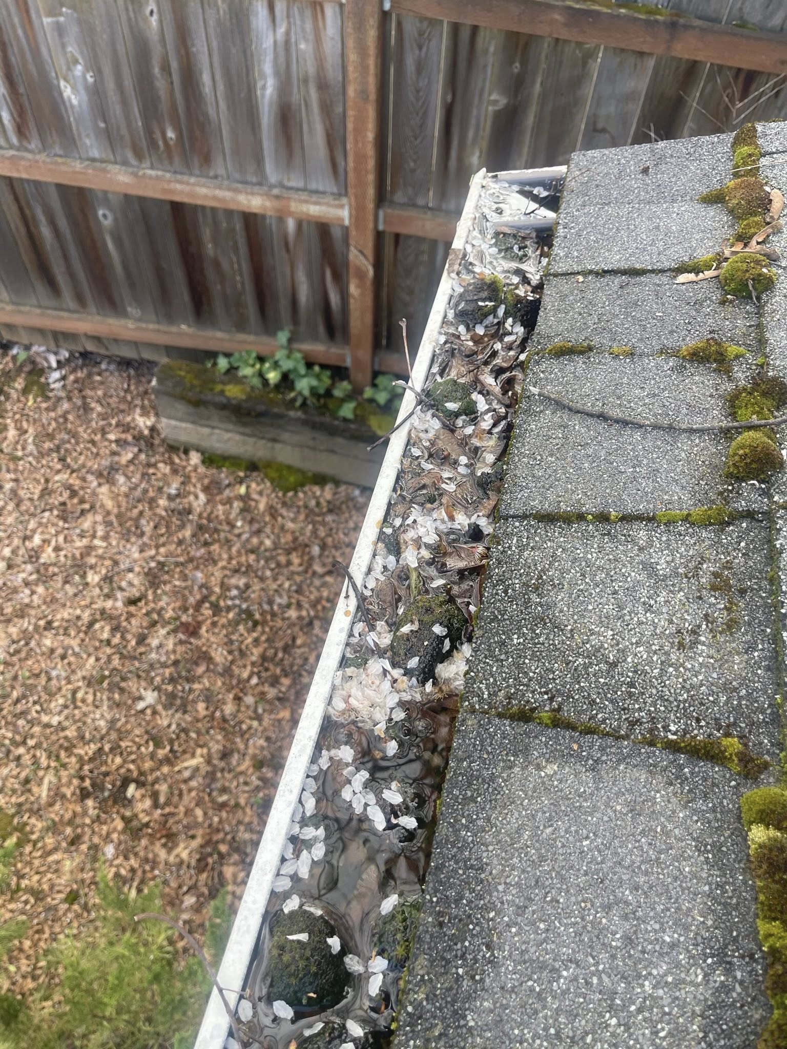 505763962_1215406330280006_4573236531863020473_n